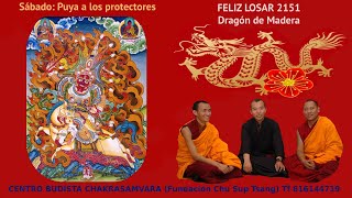 240210 Celebración del Losar 2151 Puja de los protectores y ofrenda de Tsok [upl. by Henig]