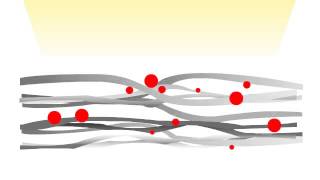 Understanding the fiber bonding process [upl. by Sheffie]