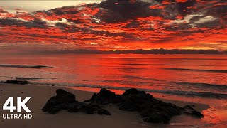 Perfect Sunrise at the Beach with Calming Sound of Waves  4K Ultra HD [upl. by Carlen343]