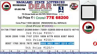 Lottery Sambad Live Dear Nagaland State Lottery Live draw result 020924Lottery live sambad [upl. by Cut]