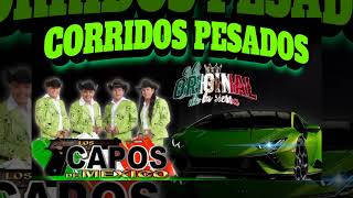 ✴️ corridos pesados —⁠☆ los capos de México corridos perrones [upl. by Aninaj]