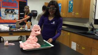 Elephants Toothpaste Volcano Yonit Enyaeva [upl. by Yalc716]