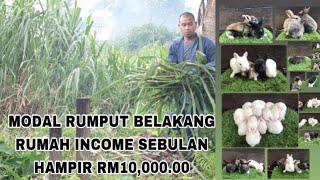 VETERINAR AJAR CARA TERNAK ARNAB DENGAN CARA YANG BETUL [upl. by Ravid]