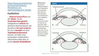 Autonomes Nervensystem 13 Glaukom II  Engwinkelglaukom  Pharmakologie  Pathophysiologie [upl. by Adoc625]