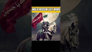 Mola HusseinLast Word  G Islam  shortfeed facts karbala [upl. by Enyawad391]