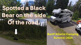 Camping at the Banff Tunnel Mountain Trailer Court [upl. by Hniv]