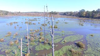 Test Big Haynes Creek Nature Center Passed [upl. by Rahab]