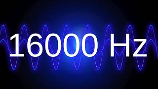 16000 Hz clean pure sine wave TEST TONE 16 khz frequency [upl. by Mima]