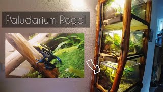 Regenwald  Paludarium Regal  Terrarien für Pfeilgiftfrösche Regenwald Bewohner [upl. by Ahsiekim]