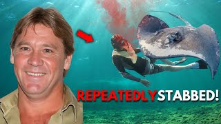 The TERRIFYING Last Minutes Of Steve Irwin “The Crocodile Hunter” [upl. by Ahsinoj]