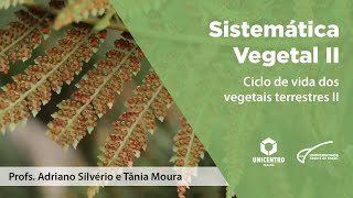 BIO Sistemática Vegetal II  Ciclo de vida dos vegetais terrestres II [upl. by Lennaj]