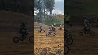 Budds Creek PeeWee Starting Line motocross shorts PeeWee Race [upl. by Sivrat]