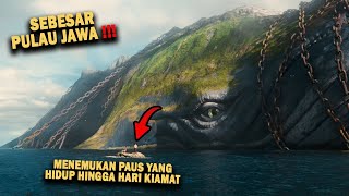 MISI MENCARI IKAN PAUS YANG HIDUP SAMPAI KIAMAT DAN SEBESAR PULAU JAWA Alur Cerita Film [upl. by Kingston12]