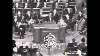 Martin Luther King Jr Nobel Peace Prize Acceptance Speech [upl. by Ahsied]