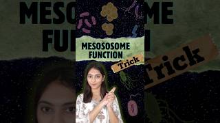 Mesosome function Trick shorts neet ytshorts [upl. by Kinch570]