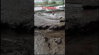 Weathering and Erosionbiologyshort video।science।soil [upl. by Mehalek]