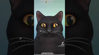 From real life meow meow to sims meow meow simscommunity simsstudio simmer thesimsfreeplay [upl. by Aridatha]