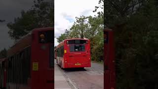 Bus Route B16 At Kidbrooke [upl. by Ennairol]