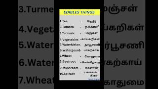 🗣Learn Basic English words with Tamil Meaning maragama subscribe pannituga🙏speak Englishenglish [upl. by Panthea884]