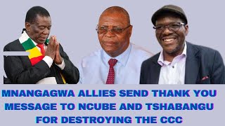 MNANGAGWA ALLIES SEND THANK YOU MESSAGE TO NCUBE AND TSHABANGU FOR DESTROYING THE CCC [upl. by Pratt]