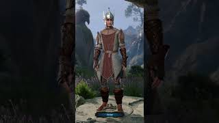 Paladin Oath breaker Level Up Baldurs Gate 3 shortvideo baldursgateiii baldursgate3game [upl. by Daryle]