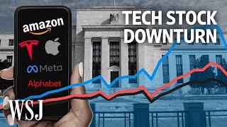 Why Are Tech Stocks Taking Such a Beating  WSJ [upl. by Adele]