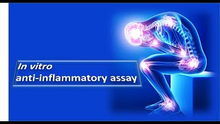 In virto Anti inflammatory assay Dr Bhushan P Pimple [upl. by Bergeron]