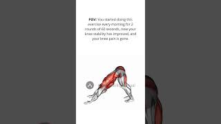 Knee Pain  Knee Stability  Mobility Exercises  The Mobility Manual [upl. by Ani624]