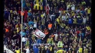 UEFA Avrupa Ligi  BATE Borisov  Fenerbahçe 14022013  Özet [upl. by Sidonie]