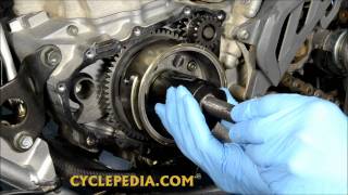 Cyclepedia Flywheel Removal [upl. by Faulkner810]