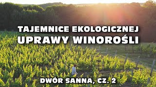 „Tajemnice ekologicznej uprawy winorośliquot  Dwór Sanna Nizio Naturals cz 2  Roztocze [upl. by Charmian323]