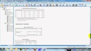 SPSS Einführungsvideo 6  Aufteilung des AutomarkenDatensatzes nach Geschlecht [upl. by Silvestro]