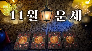 타로 소름돋는 11월 운세 🪄✨ [upl. by Nylzzaj76]