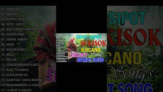 SUKISOK  SISSIWIT 🎧💫 MOST REQUESTED ILOKANO BALSE NONSTOP MEDLEY 2023  ILOCANO LOVE SONGS [upl. by Florenza484]