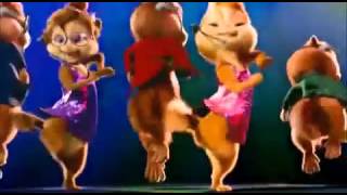 Cute cats dancing on dj vale babu [upl. by Jarek]