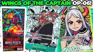 One Piece Wings of The Captain OP06 Japanese Booster Box OPENING [upl. by Hillman]