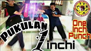 Belajar Pukulan Jeet Kune Do ala Bruce Lee One Inch Punch  Pukulan Satu Inchi [upl. by Nosoj]