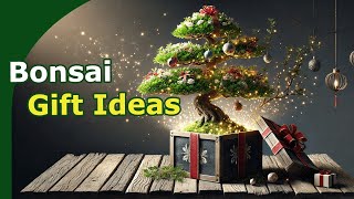 Best Bonsai Gifts to Give [upl. by Eimorej]