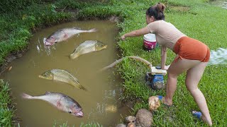 Full video How To Catch Fish In The Wild Unique Fishing Fishing Techniques Catch A Lot Of Fish [upl. by Aztirak]