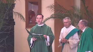 St Petronille LiveStream Mass Sunday November 9 2024 930 Thirty Second Sunday in Ordinary Time [upl. by Auburta]