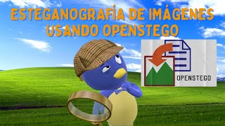 Esteganografía de imágenes usando OpenStego  Máximo Zorrilla  20221498 [upl. by Aivatal668]