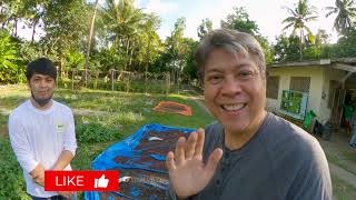 How We Harvest Coffee Beans  Kiko Pangilinan Vlog [upl. by Jaqitsch874]