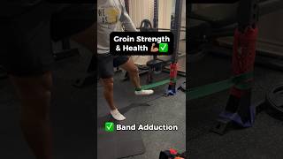 6 Groin Exercises for Injury Prevention amp Strength [upl. by Eiuqcaj227]