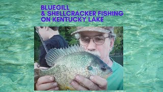 Bluegill and Shellcracker Fishing on Kentucky Lake [upl. by Ivgnout]