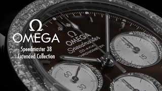 Fisrt Look at the Omega Speedmaster 38 Extended Collection [upl. by Toole]