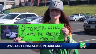 As start final series in Oakland [upl. by Eednim]