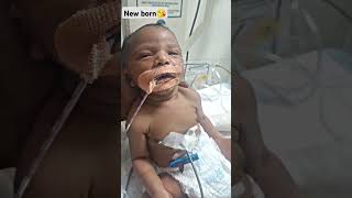 New born baby👶🥰hospital baby viralshort newborn ytshorts viralvideo cuteshortsnicu 🥰song [upl. by Epolenep]