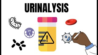 Urinalysis Interpretation QUICK and EASY [upl. by Odelinda]