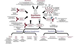 Psychotic Disorders [upl. by Templer]