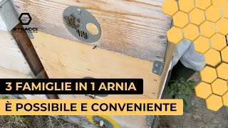 3 Famiglie in 1 Singola Arnia Scopri come in Questo Video [upl. by Jesher]